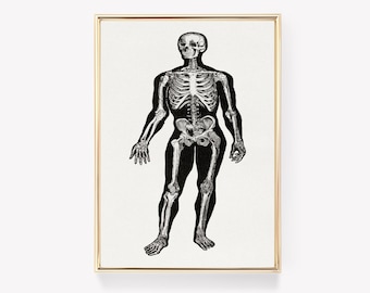 Anatomical Skeleton Print | Human Anatomy Art | Medical Poster | Vintage Illustration | Educational Decor