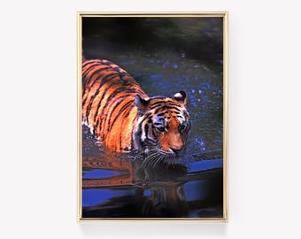 Tiger Print | Swimming Tiger Art | Wall Decor | Big Cat Print | Nature Print | Wildlife Painting