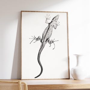May include: Black and white line art illustration of a lizard with its tail curled up. The lizard is facing away from the viewer and its legs are spread out. The illustration is framed in a simple wooden frame.