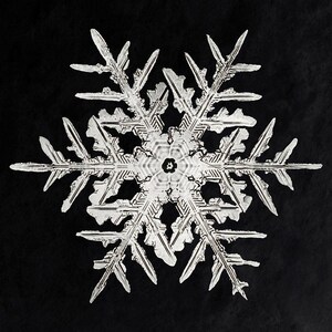 Macro Snowflake Art Print | Winter Wonderland Print | Frosty Detail Print | Unique Snowflake Print