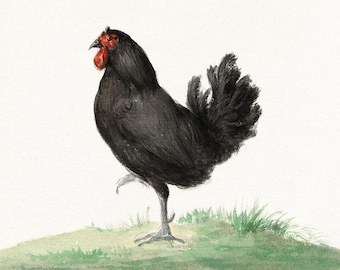 Hiroshige Rooster Print | Vintage Painting | Japanese Bird Art | Antique Rooster Print | Decorative Wall Art