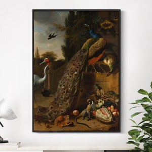 Melchior d' Hondecoeter - Pavos reales (1683) - Pintura Póster Impresión Arte de la pared Hogar Dormitorio Baño Decoración Paisaje Rústico Animal Vintage