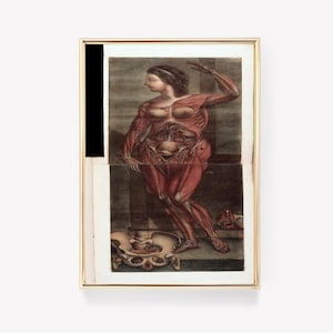 Jacques Fabien Gautier d'Agoty | Vintage anatomieprint | Anatomische illustratie | Antieke medische kunst |