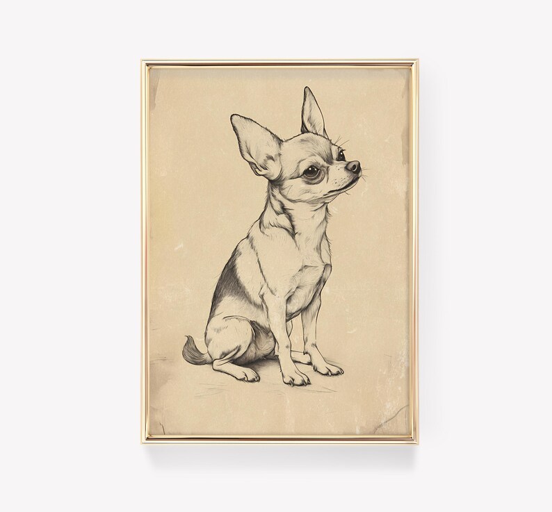 a drawing of a small dog sitting in front of a white wall
