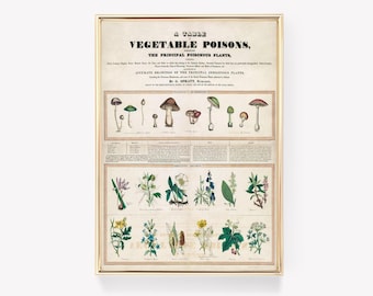 Vintage Botany | Vegetable Poisons Chart | Antique Science | Botanical Illustration | Vintage Print