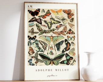 Butterfly Art | Adolphe Millot | Papillions II | Exhibition Print | Cottagecore Decor | Vintage Poster | Nature Painting | Living Room Art