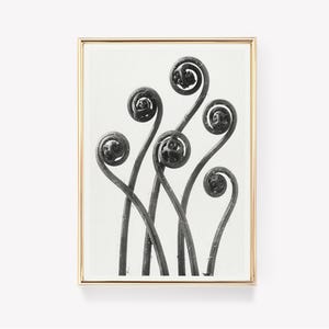 Adiantum Pedatum Print | Maidenhair Fern Print | Vintage Botanical Art | Vintage Painting | Wall Decor