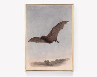 The Flying Bat | Vintage Painting | Antique Bat Print | Wall Art | Classic Bat Artwork | 19th Century Print