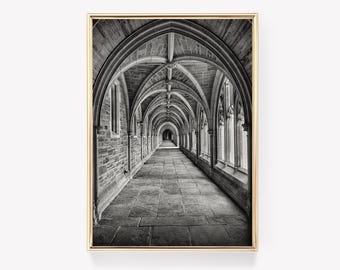 Einfarbige Gotik | Architektur Kunst | Vintage Druck | Poster | Architekturdruck | Gotische Malerei
