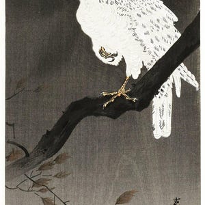Aigle sur une branche | Art Hokusaï | Impression japonaise | Peinture vintage | Scène naturelle | Décoration murale