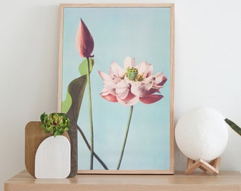 Lotus Flowers Poster, Ogawa Kazumasa, Botanical Print, Lotus Flower, Vintage Japanese Floral Art Print, Floral Poster, Home Decor, Wall Art