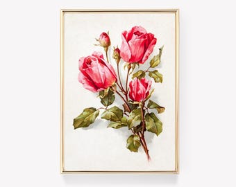Vintage Botanical Print | Pink Rose Art | Antique Floral Poster | Vintage Painting | Wall Decor