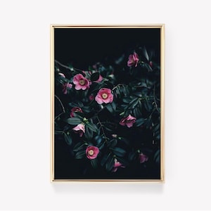 Pink Camellia | Flower Art | Nature Print | Botanical Decor | Wall Art | Vintage Painting | Floral Print