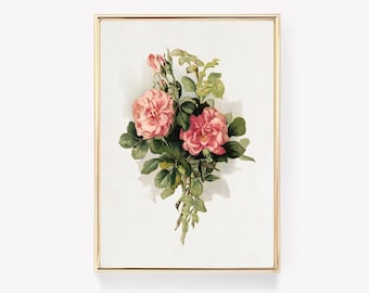 Pink Roses Print | Redouté Art | Botanical Print | 19th Century Floral Print | Vintage Painting