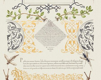 Joris Hoefnagel Art | Botanical Illustration | Calligraphy Art | Vintage Painting | Classic Decor Print