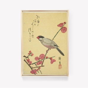 Op de afbeelding: Een vintage Japanse houtsnede met daarop een klein vogeltje dat op een tak van een bloeiende boom zit. De vogel is grijs met een roze borst en een rode snavel. De bloemen zijn roze en de achtergrond is lichtgeel. De print is ingelijst in een gouden lijst.