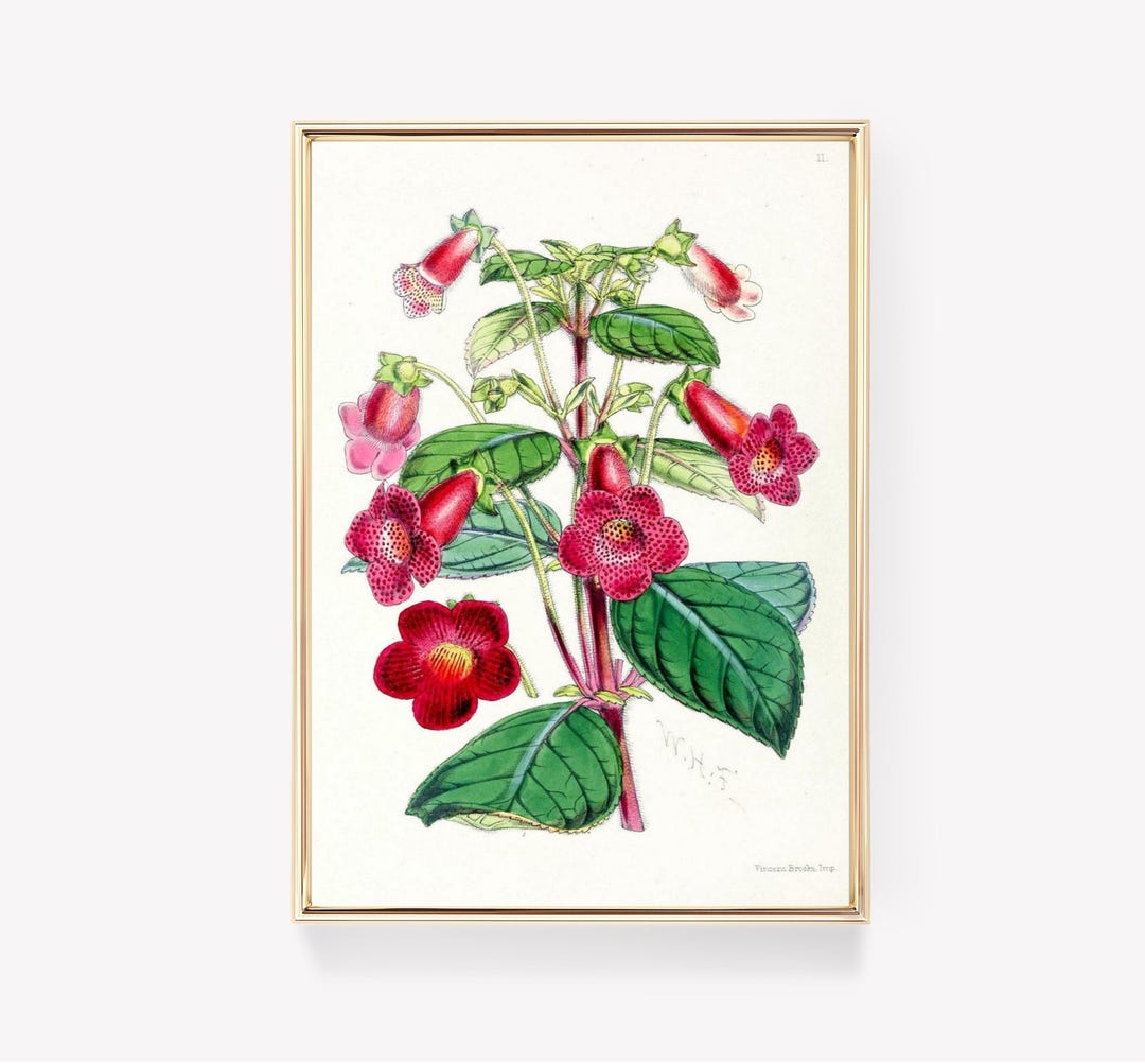 Victorian Botanical Art | Red & Pink Floral Print | Green Leaves Poster ...