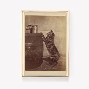 Può includere: Una fotografia vintage in bianco e nero di un gatto in piedi sulle zampe posteriori, che raggiunge un contenitore di metallo sulla cima di una botte di legno. La foto è incorniciata in una cornice dorata e ha la parola "Expectation" scritta in basso.