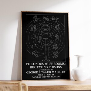 Astrologie-Körperdruck, Planetenanatomie-Druck, Himmelskarten-Druck, Vintage Malerei