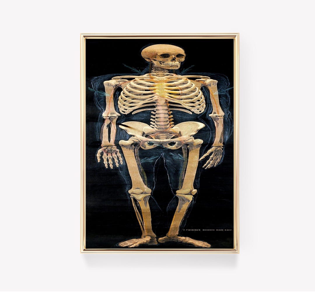 Vintage Diagram Print | Human Skeleton Art | Science Poster | Antique ...