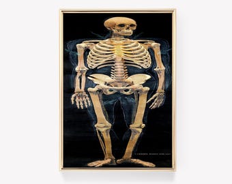 Impressão de diagrama vintage | Arte do esqueleto humano | Pôster científico | Impressão educativa antiga | Arte de parede de anatomia