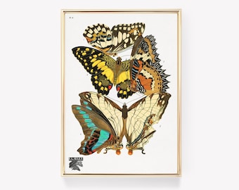 E. A. Seguy Papillons | Vintage Schmetterling Kunst | Schmetterling Druck | Natur Wand Kunst | Vintage Malerei