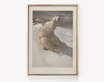 Polar Bear Print | Snowy Landscape Art | Cecil Aldin Poster | Wildlife Illustration | Vintage Art Print