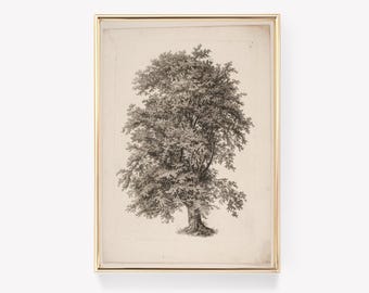 Vintage Tree Print | Antique Oak Art | Great Oak Painting | Hollar Tree Print | Wall Decor | Nature Art
