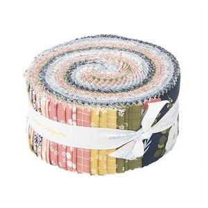 Day In The Life 2.5" Strip Roll (Jelly Roll / Rolie Polie) by Echo Park Paper Co. for Riley Blake (rp-13660-40)