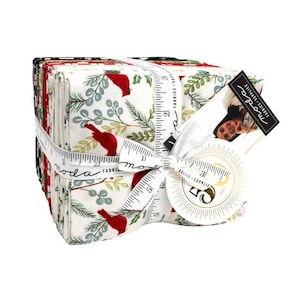 Winter Friends Fat Quarter Bundle by Deb Strain for Moda (56130ab)