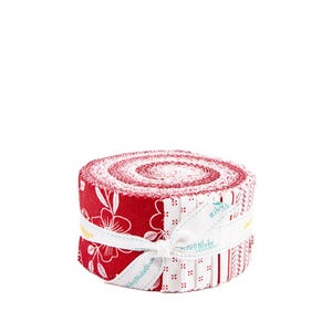 Radiant Ruby 2.5" Strip Roll (Jelly Roll / Rolie Polie) by Dani Mogstad for Riley Blake (rp-17260-40)