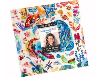 Northern Brights 10" Square Pack (Layer Cake) by Amarilys Henderson for Moda (21850lc)