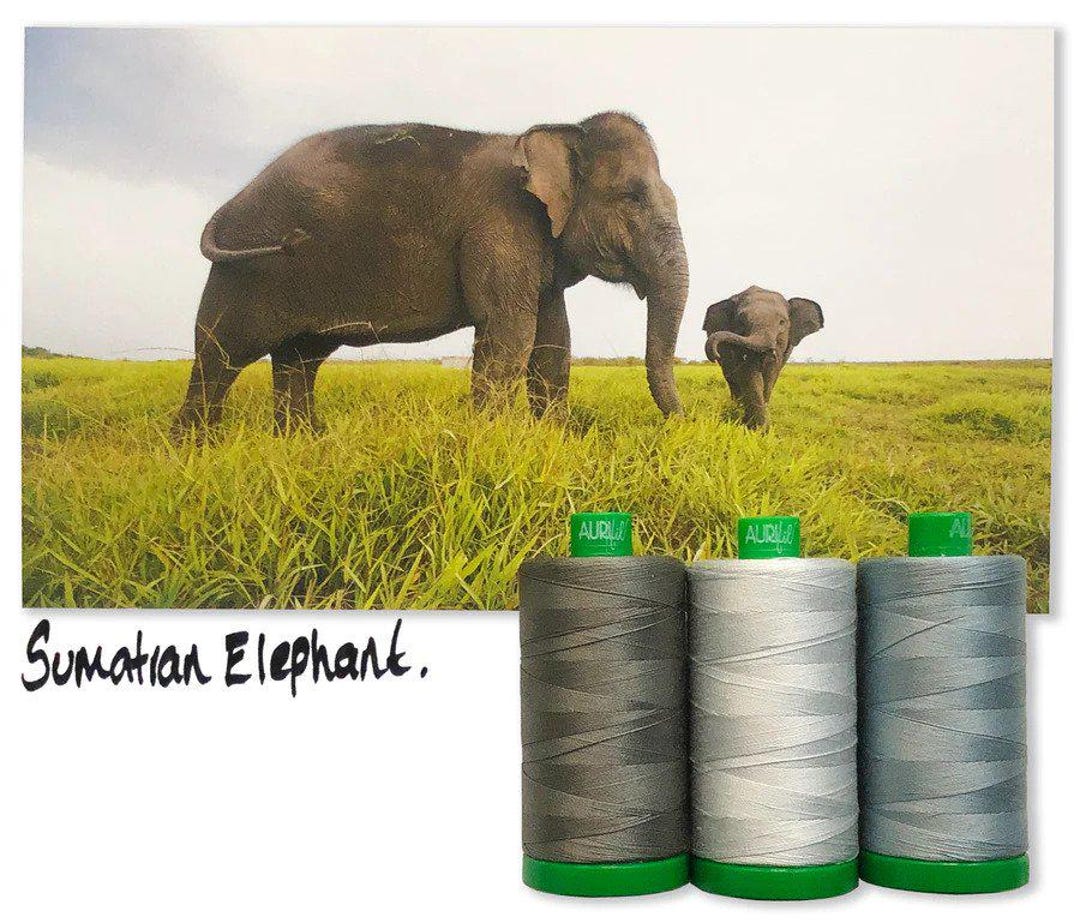 Sumatran Elephant Color Builder Thread Set | AC40CP3-001 | Aurifil ...