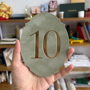 A hand holding a green oval-shaped object with the number 10 on it.
