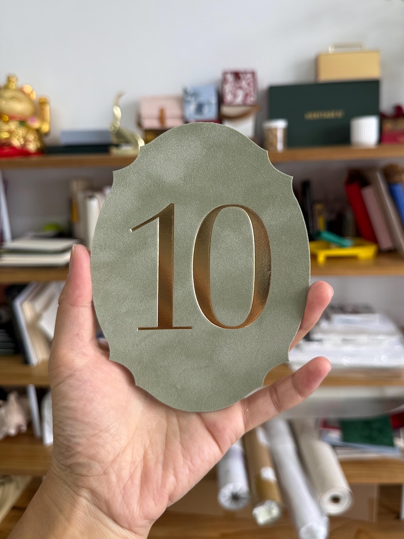 A hand holding a green oval-shaped object with the number 10 on it.