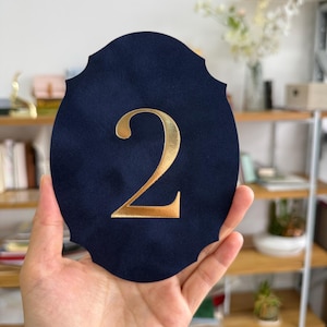 A hand is holding a dark blue oval-shaped object with a gold letter "V" on it.