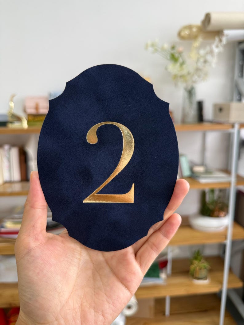 A hand is holding a dark blue oval-shaped object with a gold letter "V" on it.
