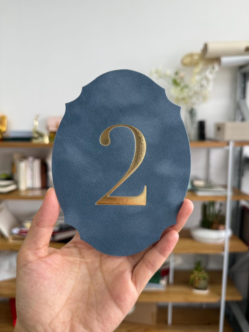 A hand is holding a blue oval-shaped object with a gold letter "V" on it.