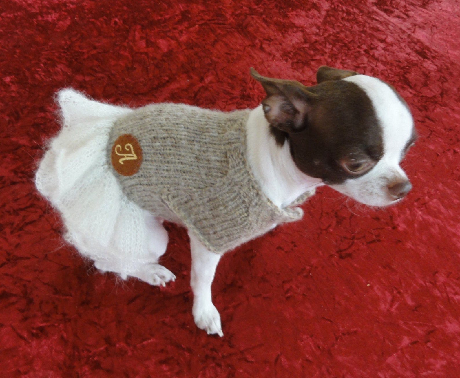 Personalized Dog Dress Custom Dog Clothes Chihuahua Knit Etsy