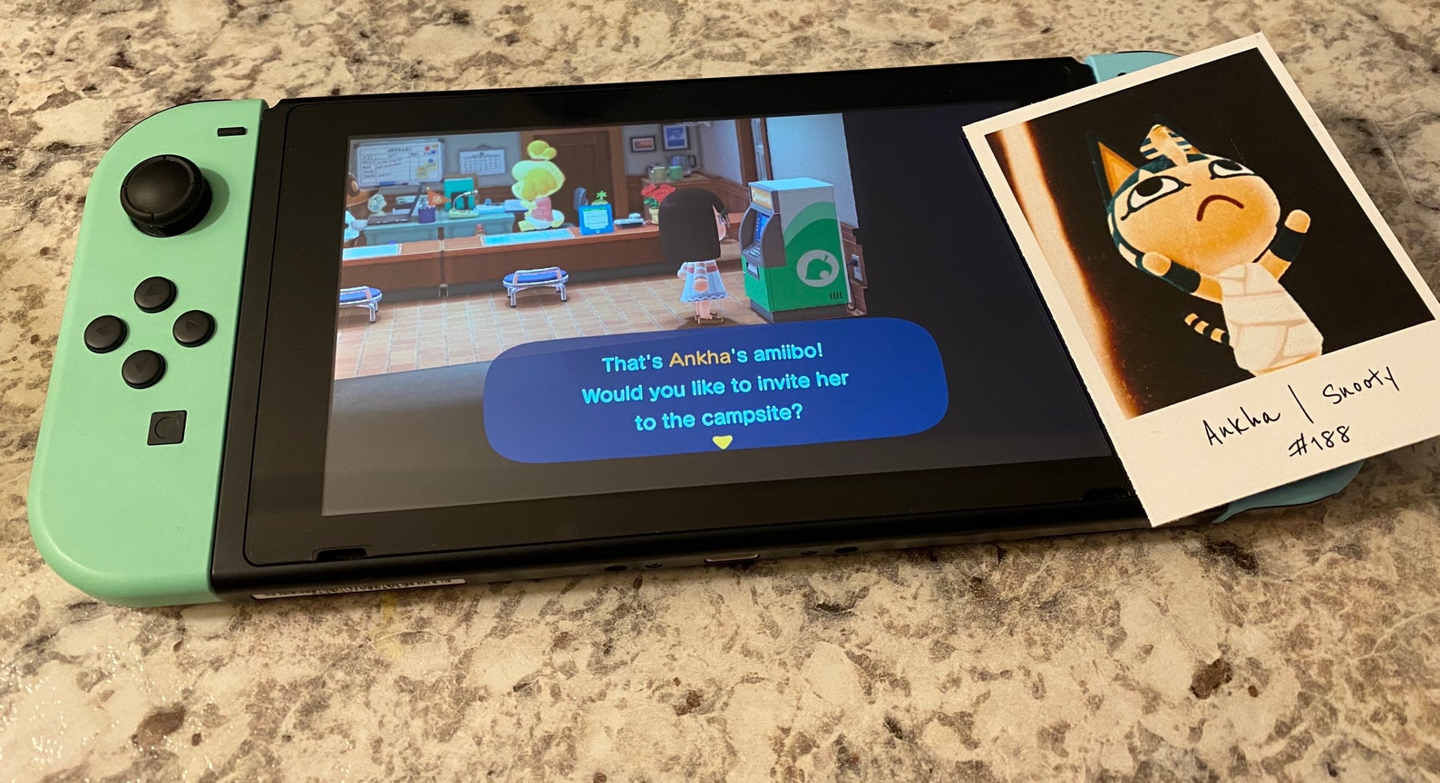 Lily Amiibo Card Etsy