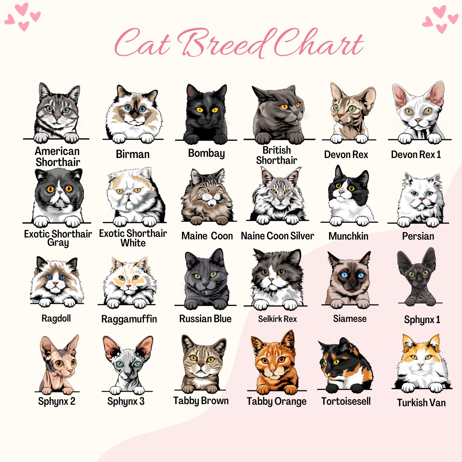 Custom Cat Mom Sweatshirt Custom Cat Sweatshirt Personalized Etsy