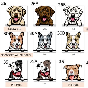 Peut inclure: Un tableau illustrant diff&eacute;rentes races de chiens, notamment le Labrador, le Corgi gallois de Pembroke, le Braque norv&eacute;gien, le Mastiff et le Pitbull. Chaque race est &eacute;tiquet&eacute;e avec son nom et un num&eacute;ro.