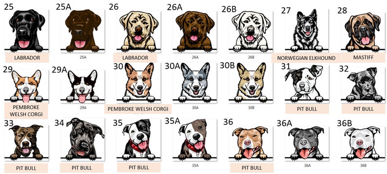 Peut inclure: Un tableau illustrant diff&eacute;rentes races de chiens, notamment le Labrador, le Corgi gallois de Pembroke, le Braque norv&eacute;gien, le Mastiff et le Pitbull. Chaque race est &eacute;tiquet&eacute;e avec son nom et un num&eacute;ro.