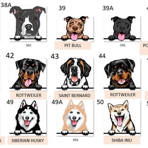 Peut inclure: Un tableau avec des illustrations de diff&eacute;rentes races de chiens. Chaque race est &eacute;tiquet&eacute;e avec son nom et un num&eacute;ro. Le tableau est sur un fond blanc.