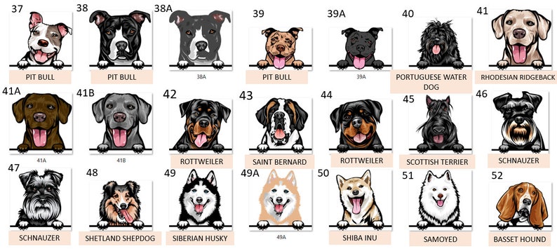 Peut inclure: Un tableau avec des illustrations de diff&eacute;rentes races de chiens. Chaque race est &eacute;tiquet&eacute;e avec son nom et un num&eacute;ro. Le tableau est sur un fond blanc.