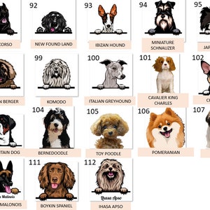 Peut inclure: Un tableau illustrant diff&eacute;rentes races de chiens. Chaque race est &eacute;tiquet&eacute;e avec son nom et un num&eacute;ro. Le tableau est organis&eacute; en lignes et en colonnes.
