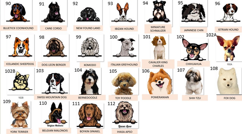 Peut inclure: Un tableau illustrant diff&eacute;rentes races de chiens. Chaque race est &eacute;tiquet&eacute;e avec son nom et un num&eacute;ro. Le tableau est organis&eacute; en lignes et en colonnes.