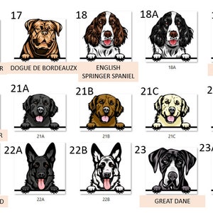 Peut inclure: Un tableau pr&eacute;sentant 24 races de chiens diff&eacute;rentes, chacune illustr&eacute;e dans un style cartoon. Les t&ecirc;tes des chiens sont repr&eacute;sent&eacute;es en train de regarder par-dessus une barre blanche, avec le nom et le num&eacute;ro de la race indiqu&eacute;s en dessous.