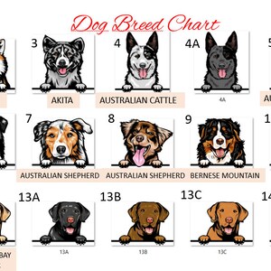 Peut inclure: Un tableau illustrant diff&eacute;rentes races de chiens. Le tableau est divis&eacute; en 15 sections, chacune avec un num&eacute;ro et le nom d'une race de chien. Les races comprennent l'Airedale, l'Akita, le Bouvier Australien, le Kelpie Australien, le Berger Australien, le Bouvier Bernois, le Mastiff Anglais, le Terrier Bull, le Retriever du Chesapeake, le Dalmatien et le Dobermann.