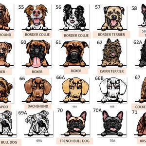 Peut inclure: Un tableau de diff&eacute;rentes races de chiens, chacune avec une illustration de la t&ecirc;te du chien en dessin anim&eacute;. Le tableau est &eacute;tiquet&eacute; avec le nom de la race et un num&eacute;ro.